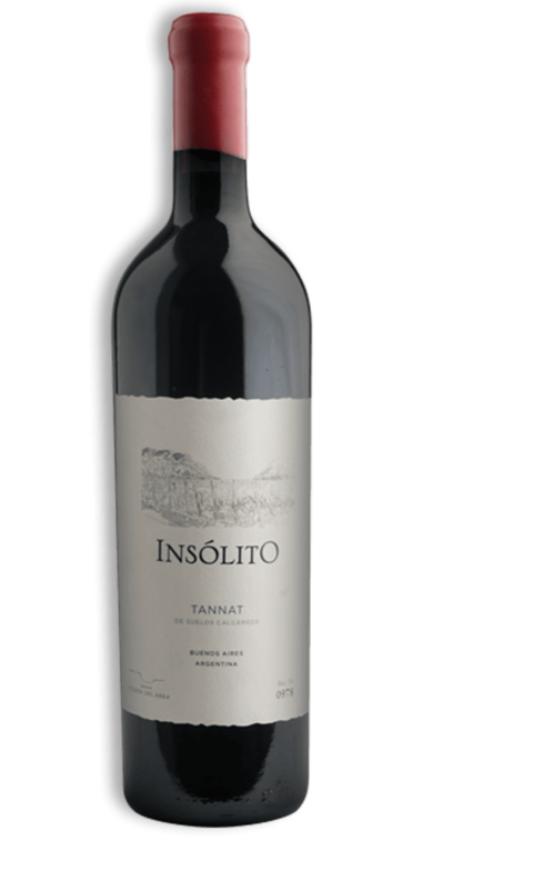 Insolito Tannat Puerta Del Abra